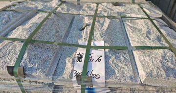 柳州芝麻白蘑菇石，自然面